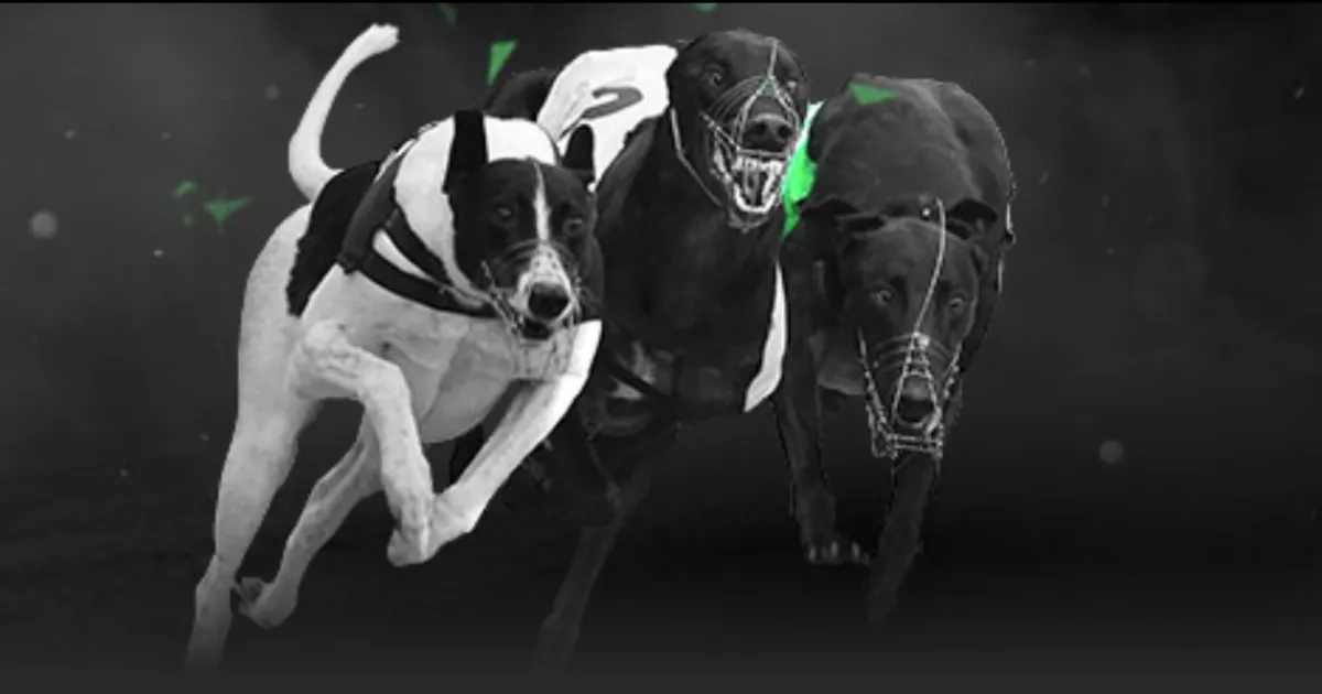 切尔西前中,场球员,机遇难得曾,今日竞彩比分,足球竞彩赛事,足球比赛数据,足球赛事资讯,竞彩赛事平台