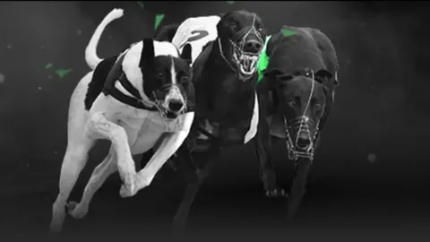 切尔西前中场球员：机遇难得曾信心受挫，终坚守岗位