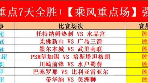 [德甲第4轮]斯图加特3-0美因茨 战报精华